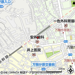 神奈川県横浜市旭区さちが丘146-32周辺の地図
