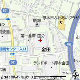 神奈川県厚木市金田1073周辺の地図