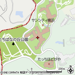 神奈川県横浜市保土ケ谷区仏向町1625-1周辺の地図