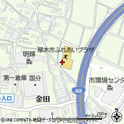 神奈川県厚木市金田1161周辺の地図