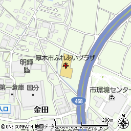 神奈川県厚木市金田1156周辺の地図