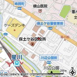 神奈川県横浜市保土ケ谷区川辺町2周辺の地図