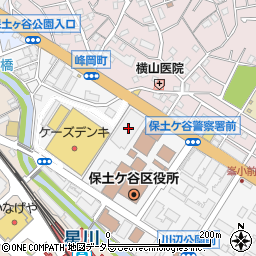 神奈川県横浜市保土ケ谷区川辺町2-10周辺の地図