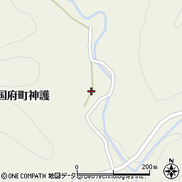 鳥取県鳥取市国府町神護239周辺の地図