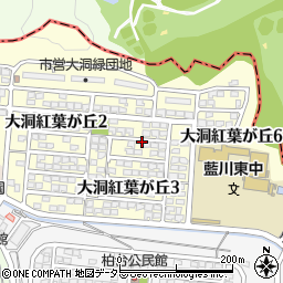 岐阜県岐阜市大洞紅葉が丘周辺の地図