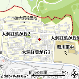 岐阜県岐阜市大洞紅葉が丘周辺の地図