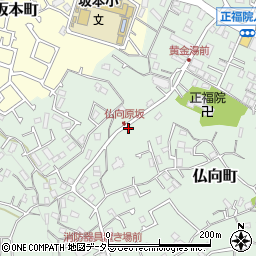 神奈川県横浜市保土ケ谷区仏向町519周辺の地図