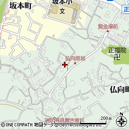 神奈川県横浜市保土ケ谷区仏向町546周辺の地図