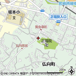 神奈川県横浜市保土ケ谷区仏向町392周辺の地図