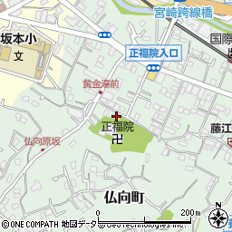 神奈川県横浜市保土ケ谷区仏向町390周辺の地図