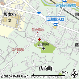 神奈川県横浜市保土ケ谷区仏向町391周辺の地図