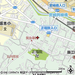 神奈川県横浜市保土ケ谷区仏向町241周辺の地図