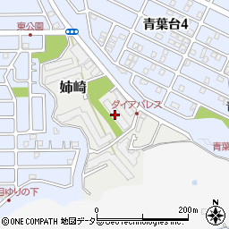 千葉県市原市姉崎3221-7周辺の地図