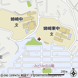 千葉県市原市姉崎2969周辺の地図