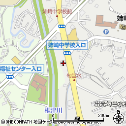 千葉県市原市姉崎2117周辺の地図