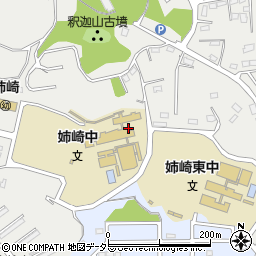 千葉県市原市姉崎2156周辺の地図