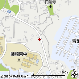 千葉県市原市姉崎2956-1周辺の地図