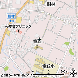 長野県飯田市桐林周辺の地図