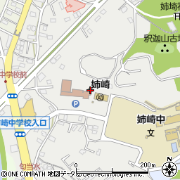 千葉県市原市姉崎2183周辺の地図