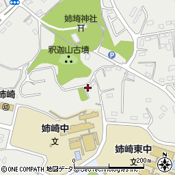 千葉県市原市姉崎2941周辺の地図