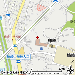 千葉県市原市姉崎2174-2周辺の地図