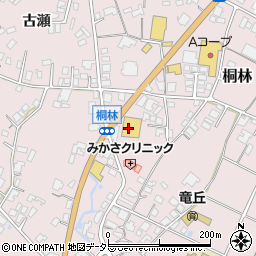 アメリカンドラッグ飯田桐林店周辺の地図