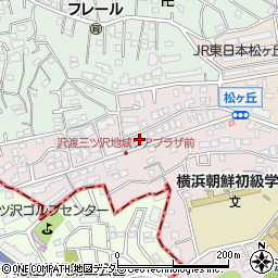 神奈川県横浜市神奈川区沢渡60周辺の地図