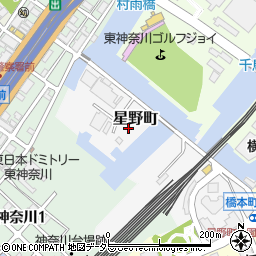 神奈川県横浜市神奈川区星野町周辺の地図