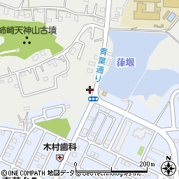 千葉県市原市姉崎2730-3周辺の地図