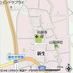 千葉県市原市新生539周辺の地図