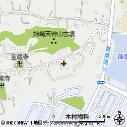 千葉県市原市姉崎2711周辺の地図