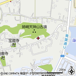 千葉県市原市姉崎2481周辺の地図