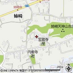 千葉県市原市姉崎2428-3周辺の地図