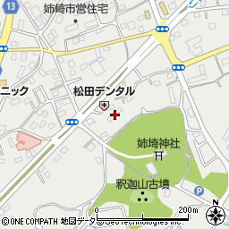 千葉県市原市姉崎2274-1周辺の地図