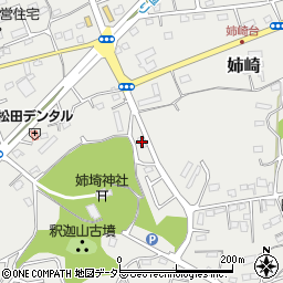 千葉県市原市姉崎2338周辺の地図