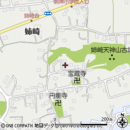 千葉県市原市姉崎2428周辺の地図