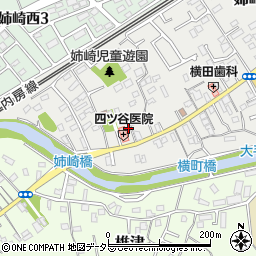 千葉県市原市姉崎111周辺の地図