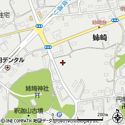 千葉県市原市姉崎2341-1周辺の地図