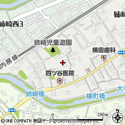 千葉県市原市姉崎93-5周辺の地図