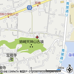 千葉県市原市姉崎2503周辺の地図