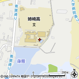 千葉県市原市姉崎2644-1周辺の地図