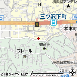 神奈川県横浜市神奈川区三ツ沢下町4-5周辺の地図