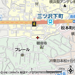 神奈川県横浜市神奈川区三ツ沢下町4-3周辺の地図