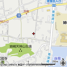 千葉県市原市姉崎2533-1周辺の地図