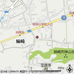 千葉県市原市姉崎2407周辺の地図