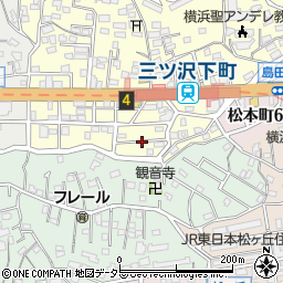 神奈川県横浜市神奈川区三ツ沢下町4周辺の地図