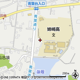 千葉県市原市姉崎2633-9周辺の地図