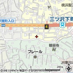 神奈川県横浜市神奈川区三ツ沢下町5周辺の地図
