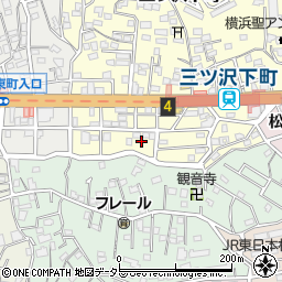 神奈川県横浜市神奈川区三ツ沢下町5-4周辺の地図