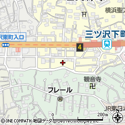 神奈川県横浜市神奈川区三ツ沢下町5-5周辺の地図